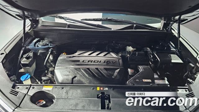 Hyundai Palisade Prestige, 2019 6