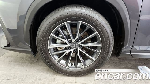 Lexus NX450h+ 2세대 Premium, 2025 все фото