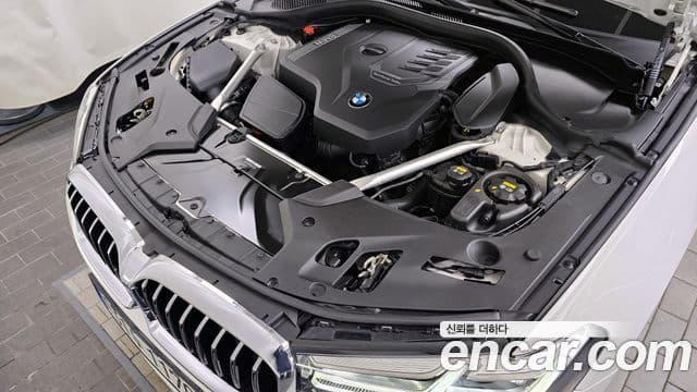 BMW 5시리즈 (G30) Luxury, 2023 6