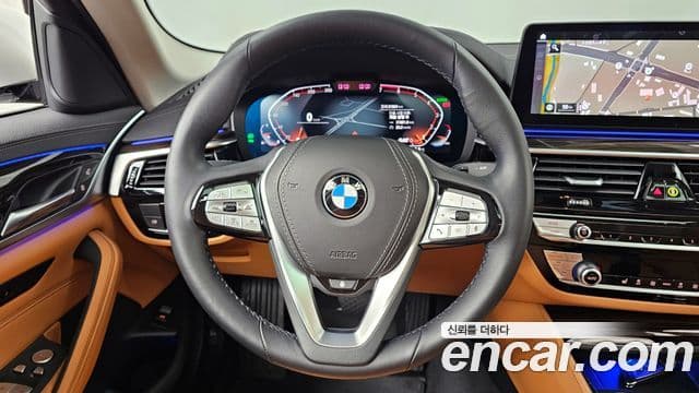 BMW 5시리즈 (G30) Luxury, 2023 13