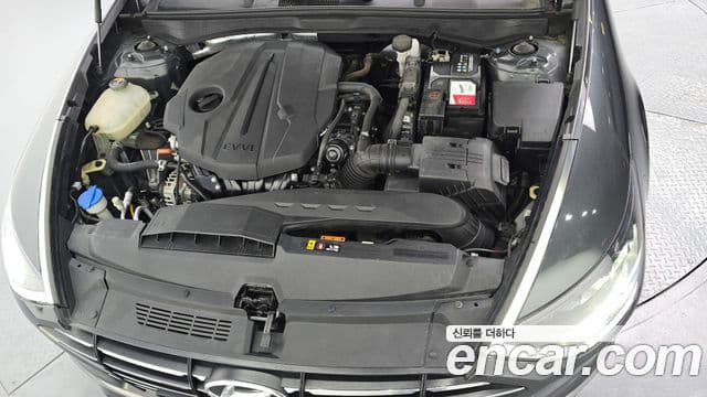 Hyundai Sonata (DN8) Premium Family, 2020 6