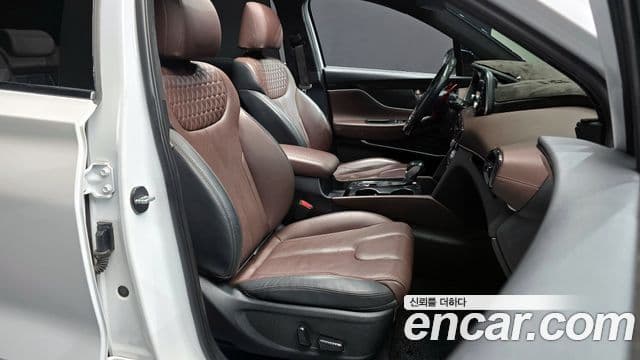 Hyundai Santa Fe TM Inspiration, 2020 10