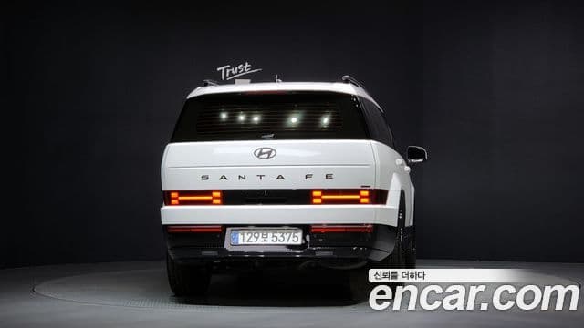 Hyundai Santa Fe (MX5) Calligraphy, 2024 4