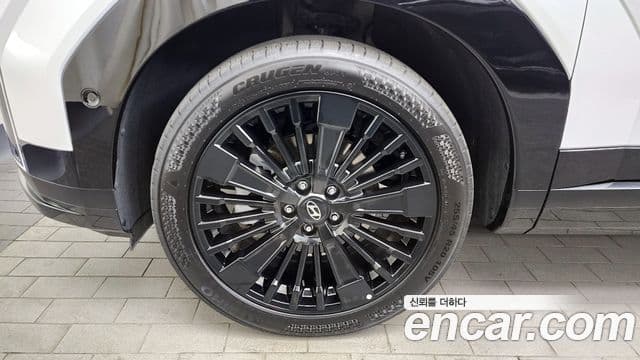 Hyundai Santa Fe (MX5) Calligraphy, 2024 все фото