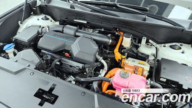 Hyundai Santa Fe (MX5) Calligraphy, 2024 6