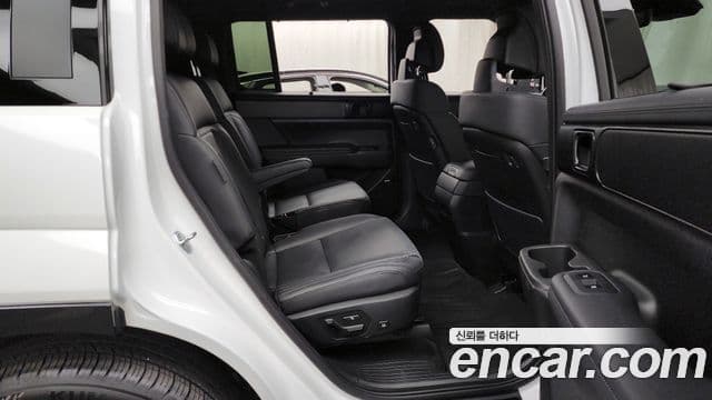 Hyundai Santa Fe (MX5) Calligraphy, 2024 12