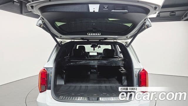 Hyundai The / новый New Palisade Calligraphy, 2024 20