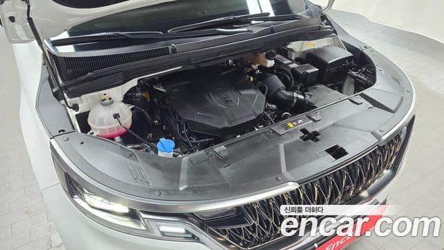 Kia Carnival 4세대 Signature, 2023 6