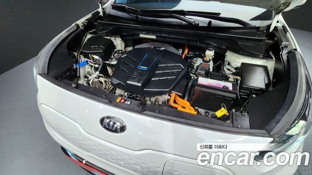 Kia Niro EV Noblesse, 2021 6