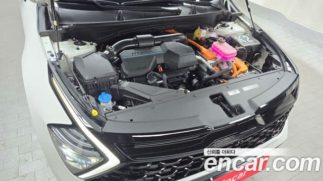 Kia Sportage 5세대 гибрид 30th Anniversary Edition 2WD, 2024 6
