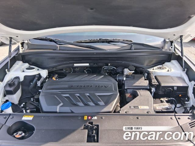 Hyundai Palisade Prestige, 2019 6