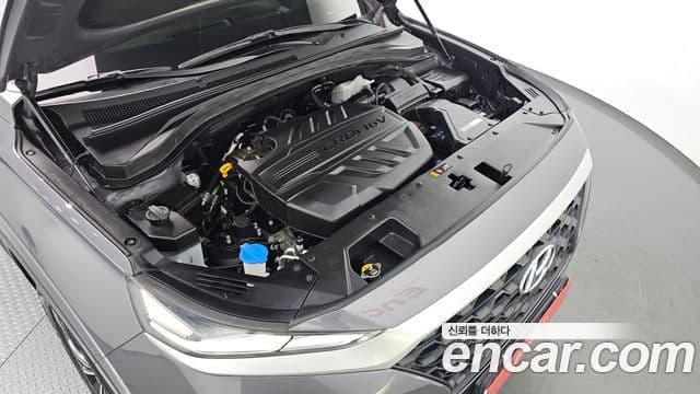 Hyundai Santa Fe TM Exclusive, 2019 6