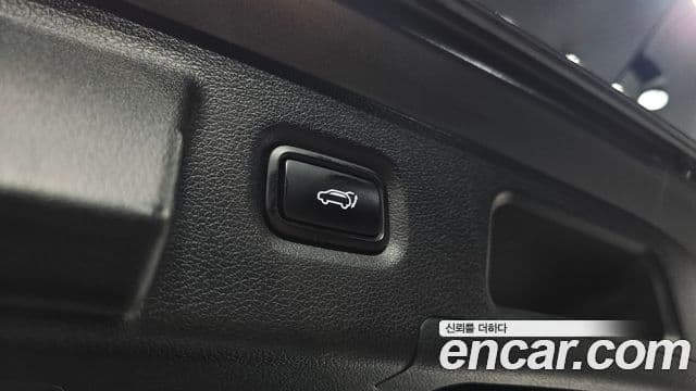 Hyundai Santa Fe TM Exclusive, 2019 17