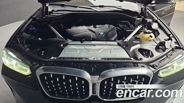 BMW X4 (G02) xDrive20i xLine, 2022 6