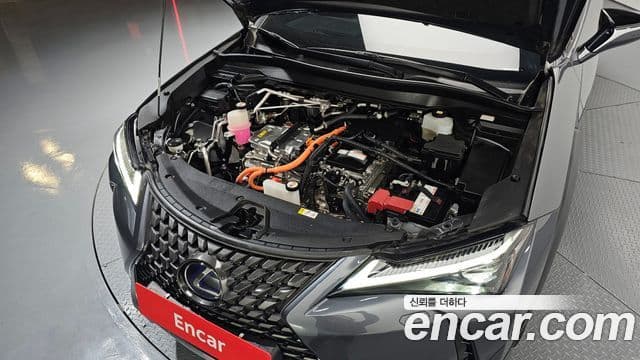 Lexus UX300e, 2022 6