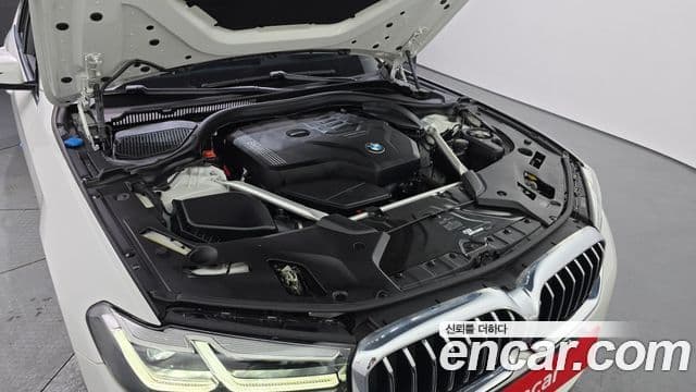 BMW 5시리즈 (G30) Luxury, 2021 6