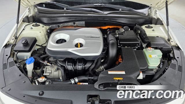 Kia K5 гибрид 2세대 Noblesse, 2018 6