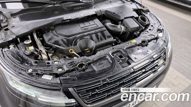 Land Rover Range Rover Evoque 2세대 P250 Dynamic SE, 2024 6