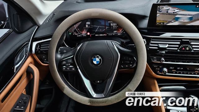 BMW 5시리즈 (G30) Luxury, 2020 13