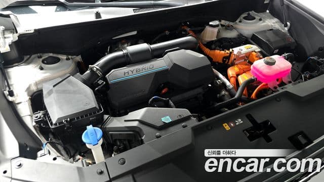 Hyundai Santa Fe (MX5) Calligraphy, 2024 6