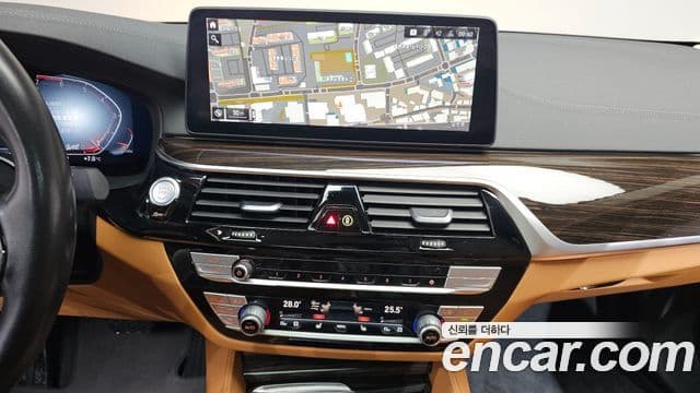 BMW 5시리즈 (G30) Luxury, 2021 15