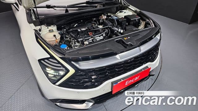 Kia Sportage 5세대 Signature, 2022 6
