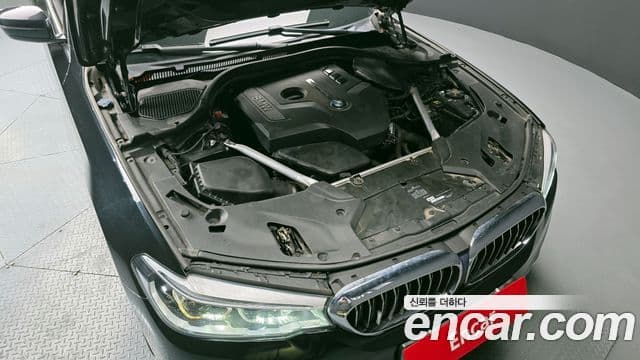 BMW 5시리즈 (G30) 530i xDrive Luxury Plus, 2019 6