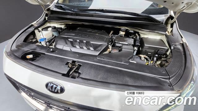 Kia The / новый New Carnival VIP, 2019 6