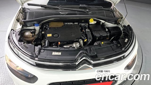 Ситроен / DS C4 Cactus 1.5 BlueHDi Shine, 2019 6