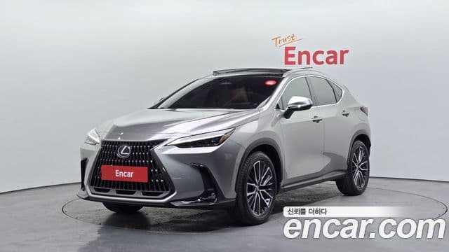 Lexus NX350h 2세대 Luxury, 2024 1