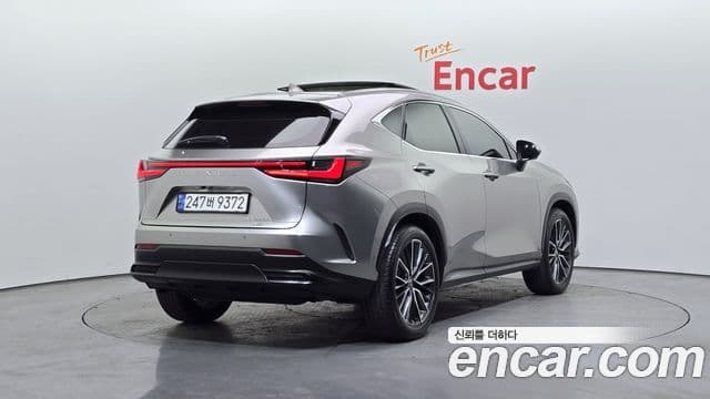 Lexus NX350h 2세대 Luxury, 2024 2
