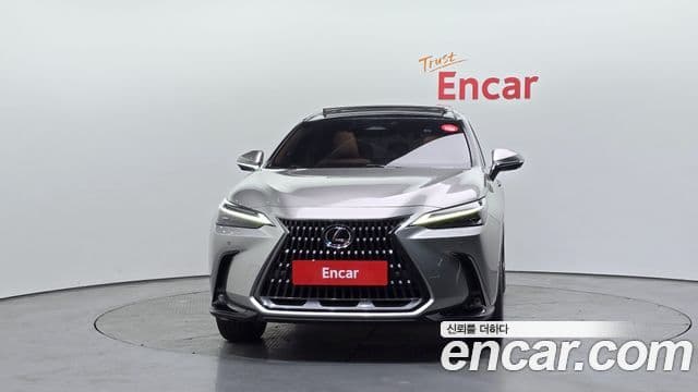 Lexus NX350h 2세대 Luxury, 2024 3