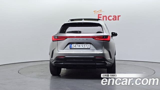 Lexus NX350h 2세대 Luxury, 2024 4
