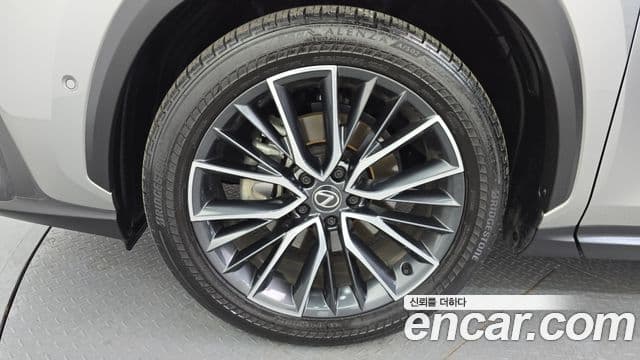 Lexus NX350h 2세대 Luxury, 2024 все фото