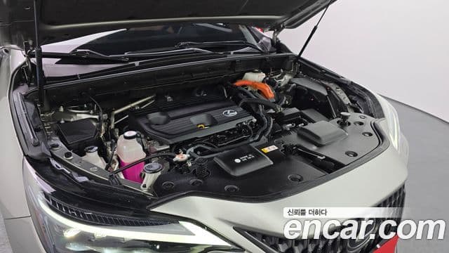 Lexus NX350h 2세대 Luxury, 2024 6
