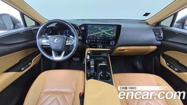 Lexus NX350h 2세대 Luxury, 2024 7