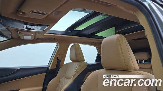 Lexus NX350h 2세대 Luxury, 2024 19