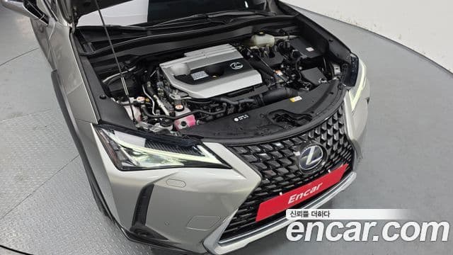 Lexus UX250h, 2021 6