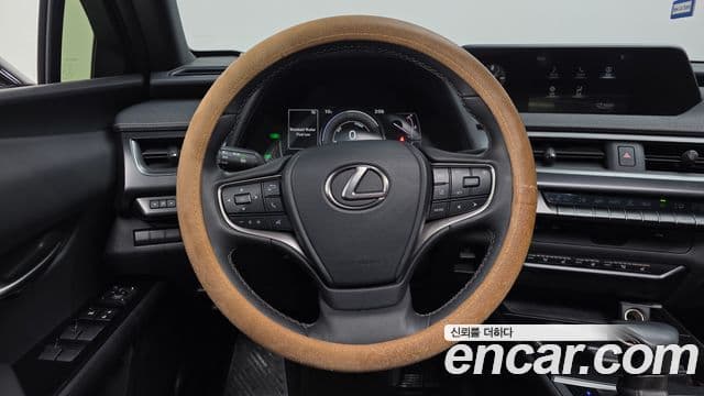 Lexus UX250h, 2021 13