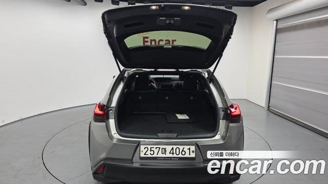 Lexus UX250h, 2021 20