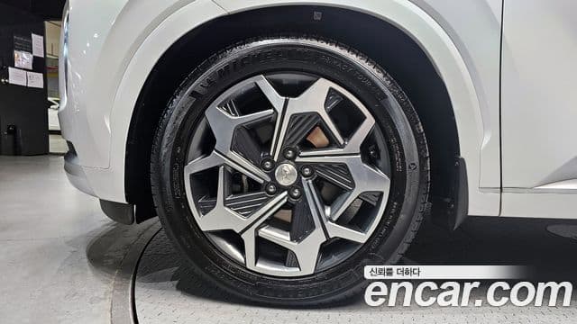 Hyundai Palisade Calligraphy, 2021 все фото