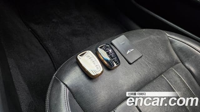 Hyundai Genesis DH G330 Premium AWD, 2016 19