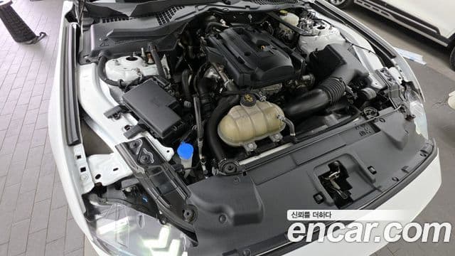 Ford Mustang купе, 2023 6