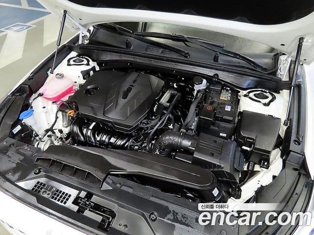 Kia K8 Noblesse, 2024 19