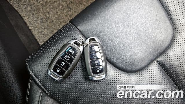 Hyundai Santa Fe TM Exclusive Special, 2019 19