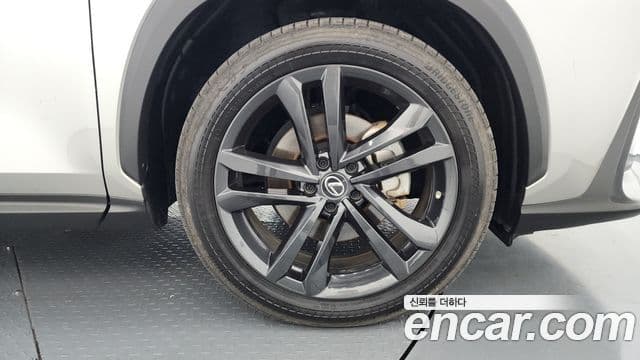 Lexus NX350h 2세대 Premium, 2023 все фото