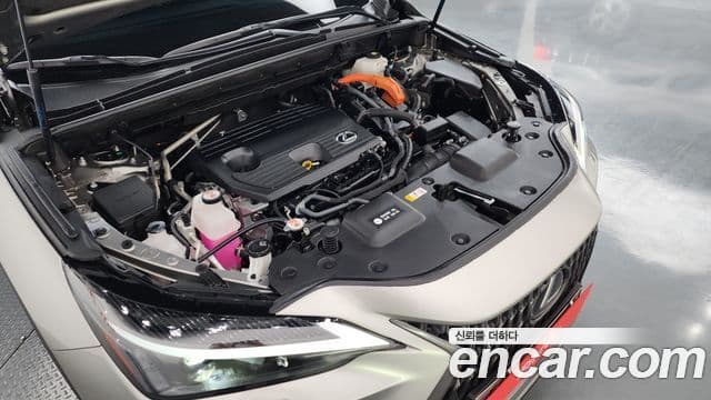 Lexus NX350h 2세대 Premium, 2023 6