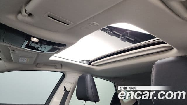 Lexus NX350h 2세대 Premium, 2023 19