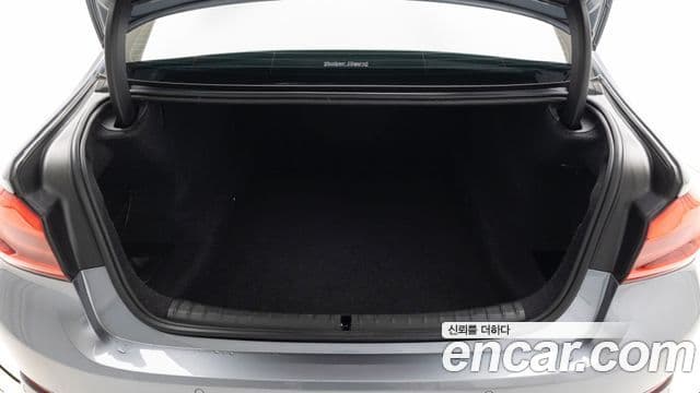 BMW 5시리즈 (G30) Luxury, 2019 20