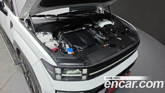 Hyundai Santa Fe (MX5) Calligraphy, 2024 6